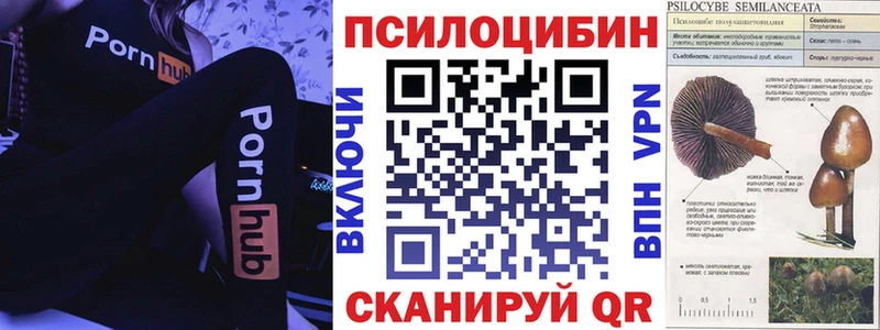 Купить где  Соликамск  Галлюциногенные грибы прущие грибы 